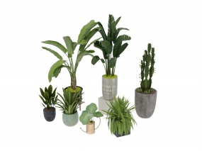 绿色盆栽模型效果图